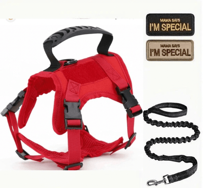 Tactical Cat Chest Harness - Escape - Proof Adventure Vest - PawsiFypets