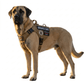 Tactical Service Dog Harness - Escape - Proof Vest with Handle + 4 Patches Included - PawsiFypets