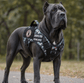Tactical Service Dog Harness - Escape - Proof Vest with Handle + 4 Patches Included - PawsiFypets