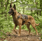 Tactical Service Dog Harness - Escape - Proof Vest with Handle + 4 Patches Included - PawsiFypets