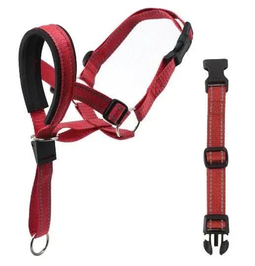 Training Head Collar & Leash - PawsiFypets