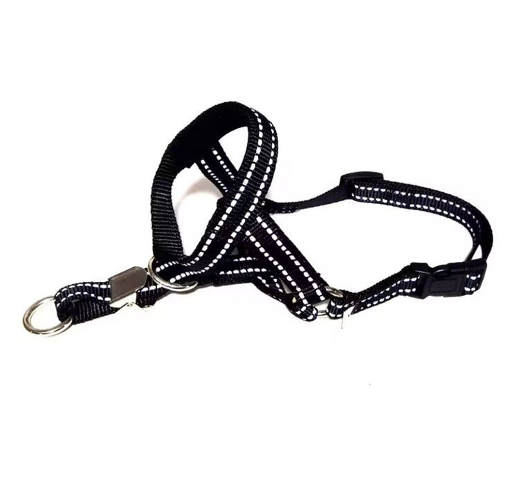 Training Head Collar & Leash - PawsiFypets