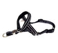 Training Head Collar & Leash - PawsiFypets