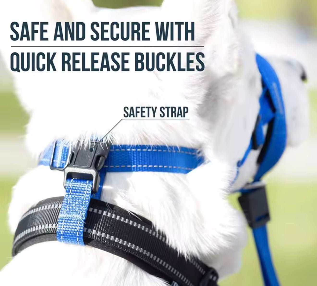 Training Head Collar & Leash - PawsiFypets