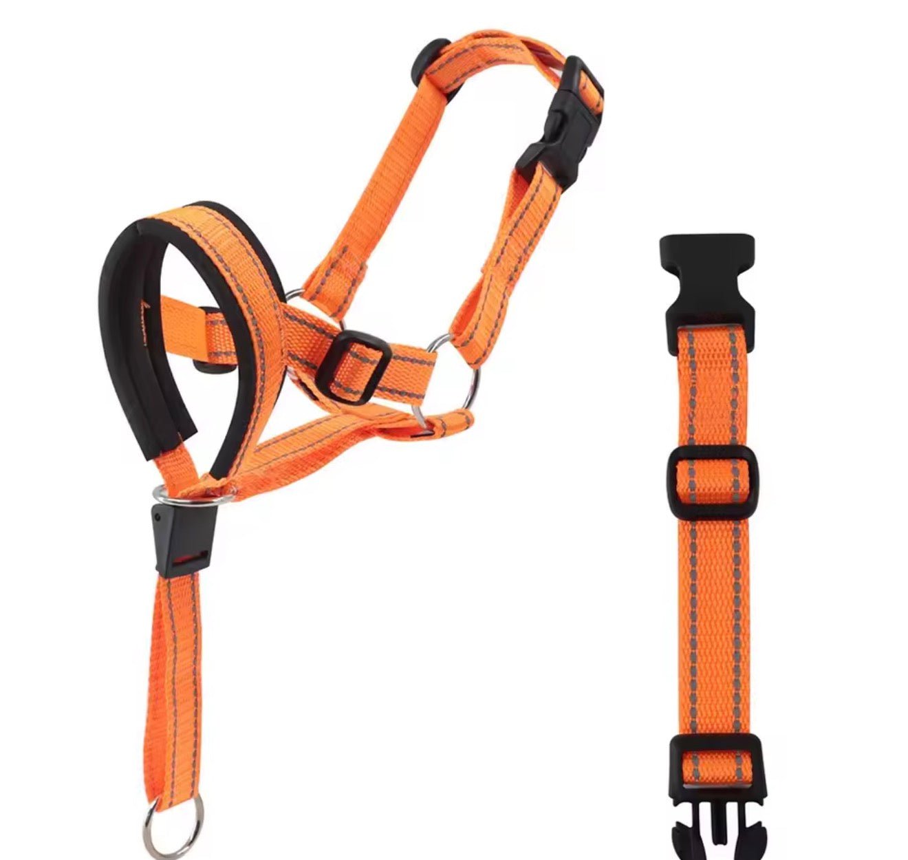 Training Head Collar & Leash - PawsiFypets