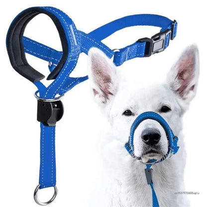 Training Head Collar & Leash - PawsiFypets Dog Training - Red / S PawsiFypets