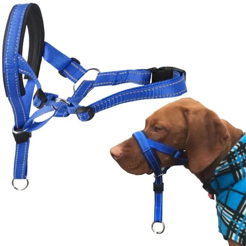Training Head Collar & Leash - PawsiFypets Dog Training - Red / S PawsiFypets