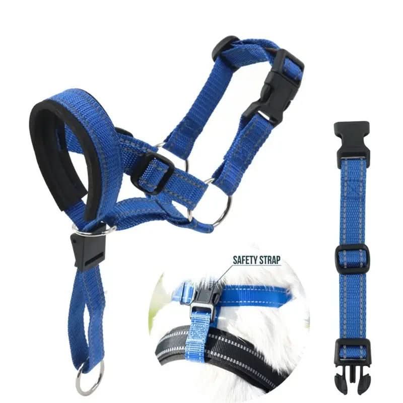 Training Head Collar & Leash - PawsiFypets Dog Training - blue / S PawsiFypets