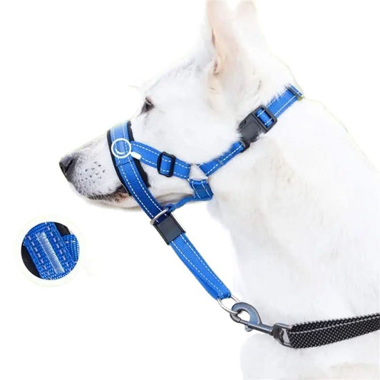 Training Head Collar & Leash - PawsiFypets Dog Training - Red / S PawsiFypets