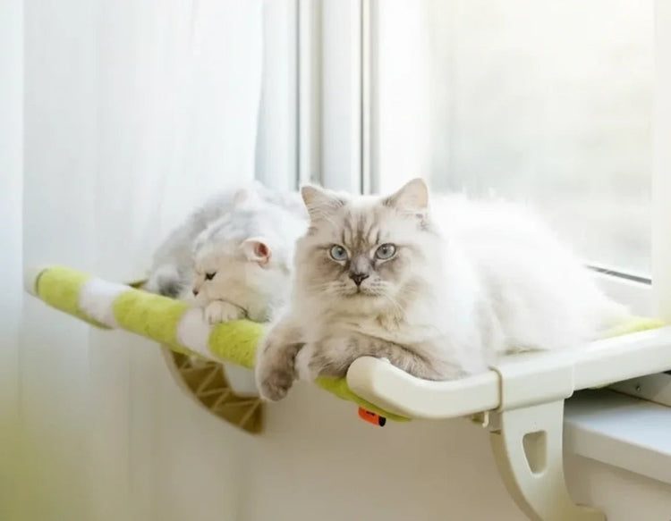 Universal Cat Hammock – Window & Bedside Hanging Bed - PawsiFypets