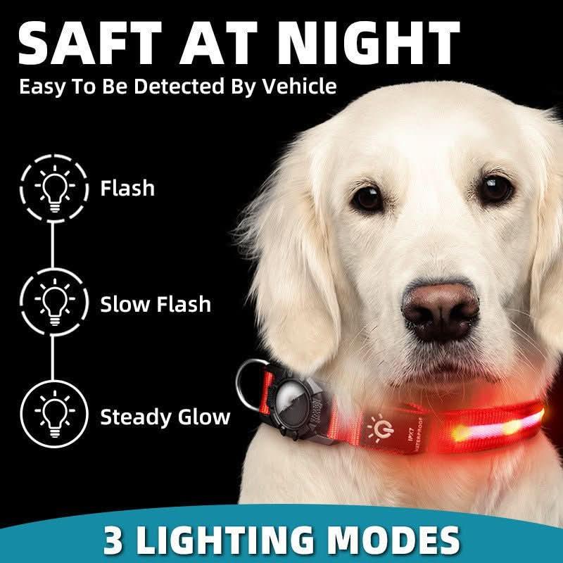 Golden retriever wearing waterproof LED pet collar with three lighting modes for nighttime safety