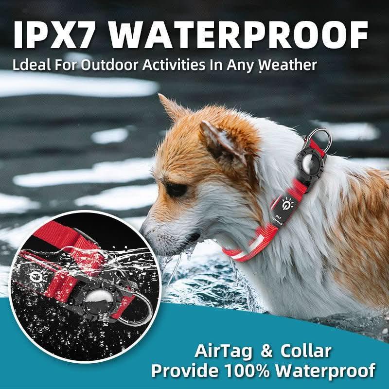 Dog swimming in water wearing a red waterproof pet collar with AirTag holder.