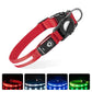 Waterproof LED pet collar in red, featuring adjustable fit and light-up locator in multiple colors.